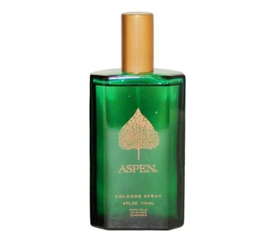 Coty Aspen For Men