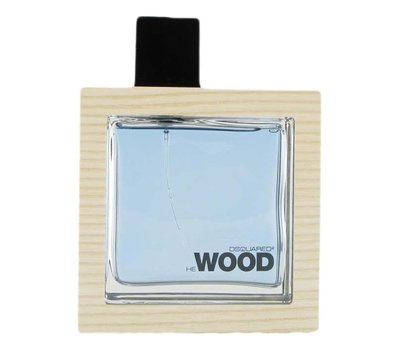 Dsquared2 He Ocean Wet Wood men