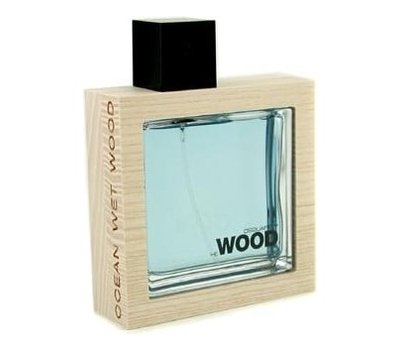 Dsquared2 He Ocean Wet Wood men 106682