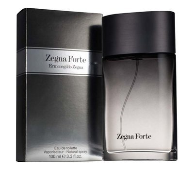 Ermenegildo Zegna Forte man 107317