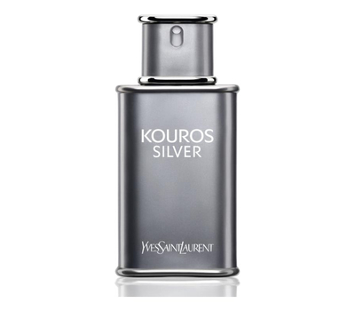 YSL Kouros Silver