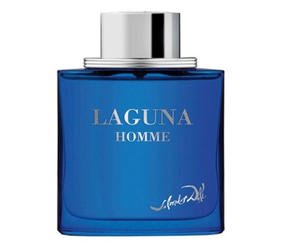 Salvador Dali Laguna Homme