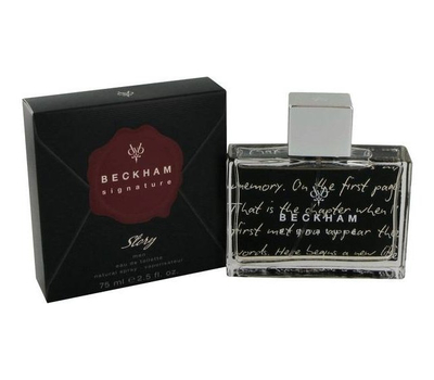 David Beckham Signature Story For Men 129637