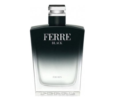 GianFranco Ferre Black 131576