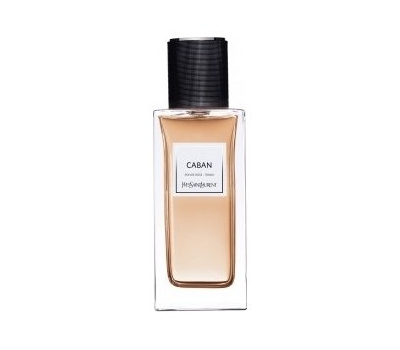 YSL Caban