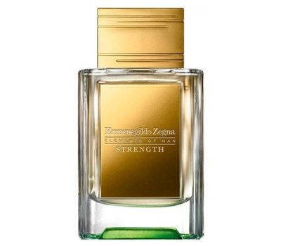 Ermenegildo Zegna Strength 132589