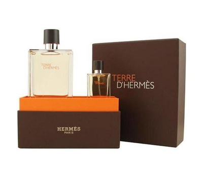 Hermes Terre D'Hermes pour homme 151663