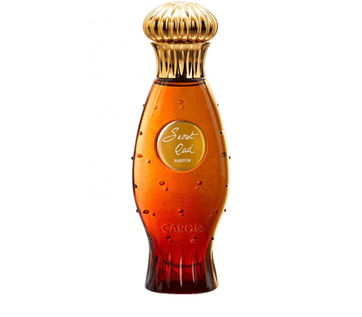 Caron Secret Oud 189757