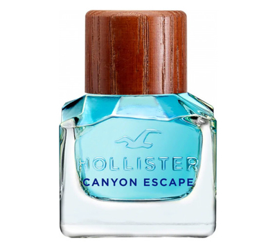 Hollister Canyon Escape Man